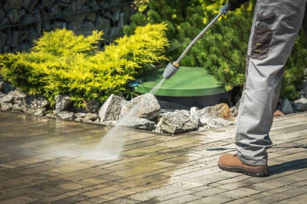Best Soft Washing  in Leisuretowne, NJ